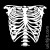 T-shirt Bones