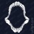 T-shirt Shark Teeth
