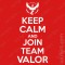 T-shirt Pokémon Keep Calm and Join Team Valor